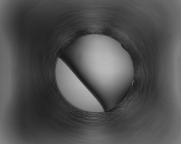 X0000097490084200802220849