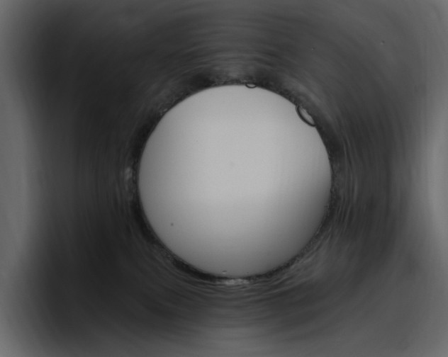 X0000097490087200802220849