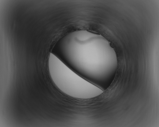 X0000097490088200802220849