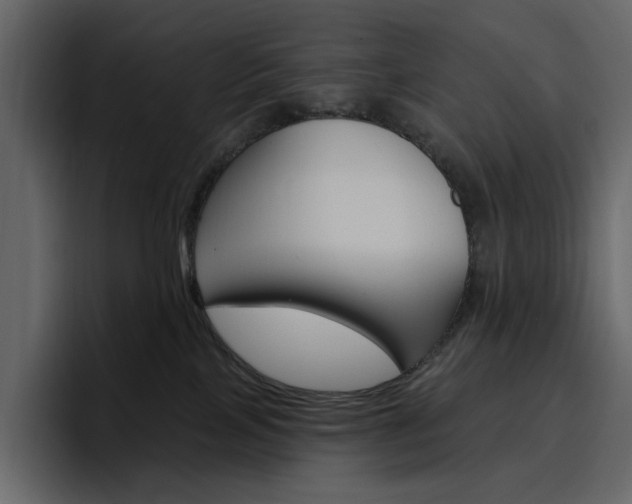 X0000097490089200802220849