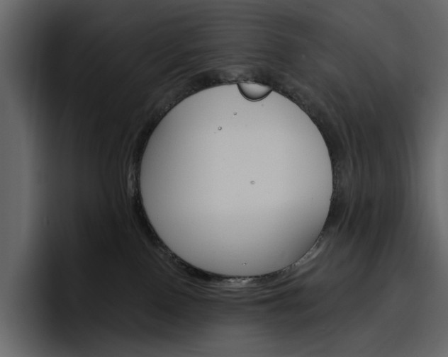 X0000097490090200802220849