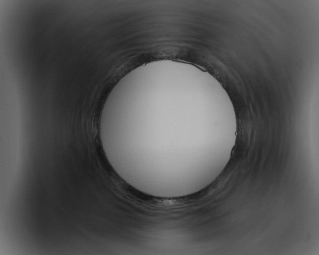 X0000097490091200802220849