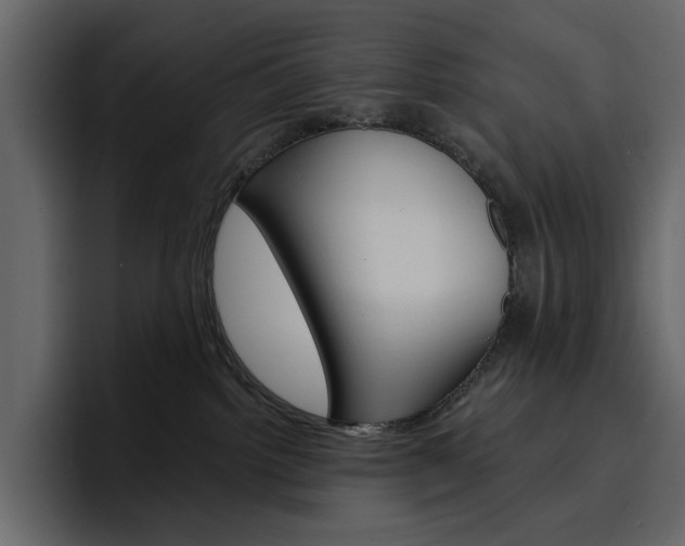 X0000097490092200802220849