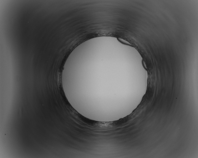 X0000097490093200802220849