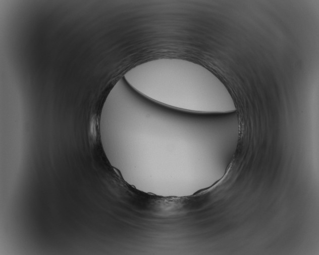 X0000097490094200802220849
