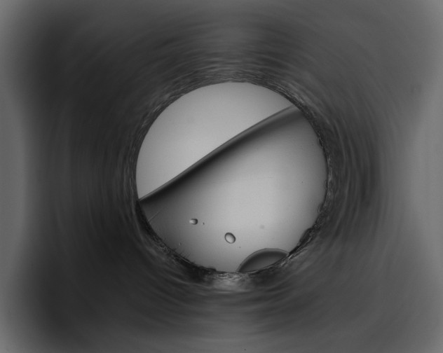X0000097490096200802220849