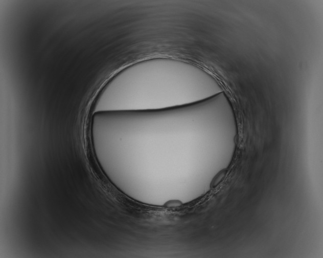 X0000097490098200802220848