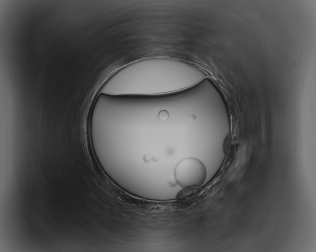 X0000097490099200802220848