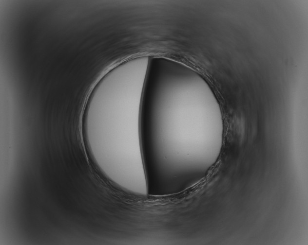 X0000097490100200802220848