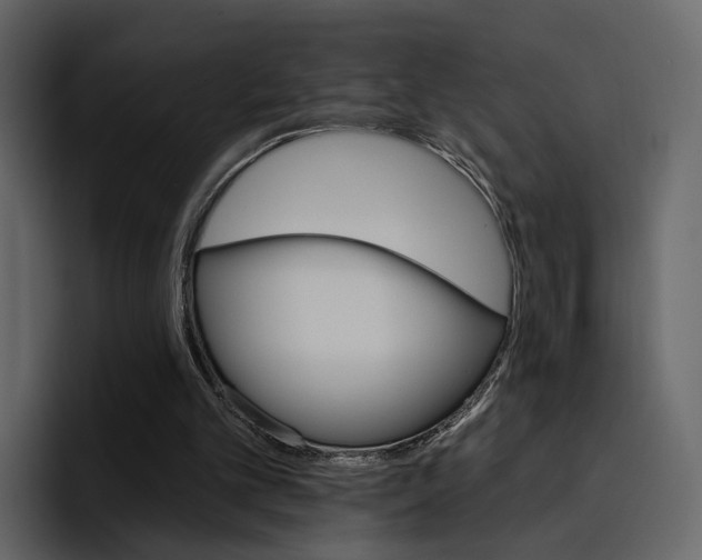 X0000097490101200802220848