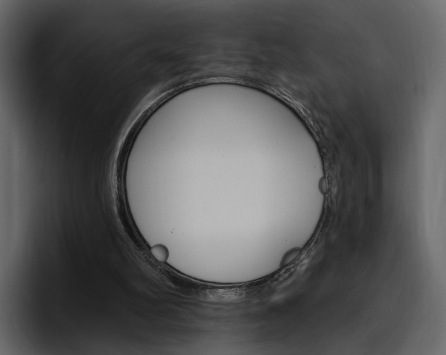 X0000097490102200802220848