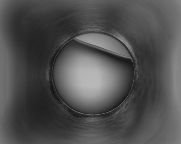 X0000097490105200802220848