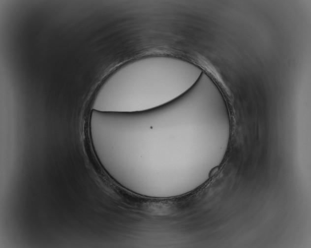X0000097490106200802220848
