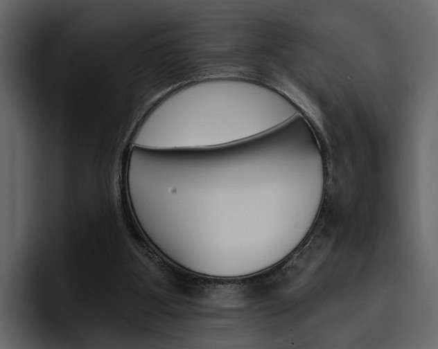 X0000097490107200802220848