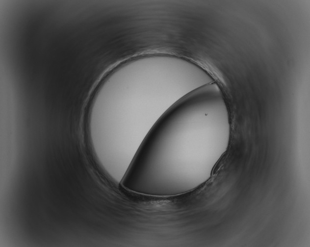 X0000097490108200802220848