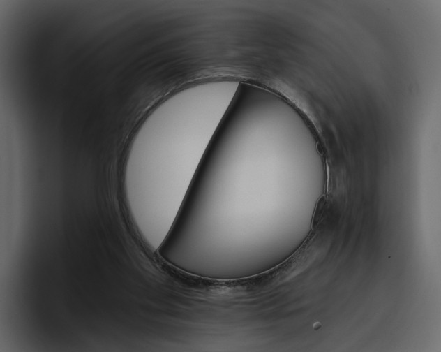 X0000097490109200802220848