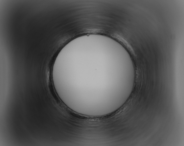 X0000097490110200802220848