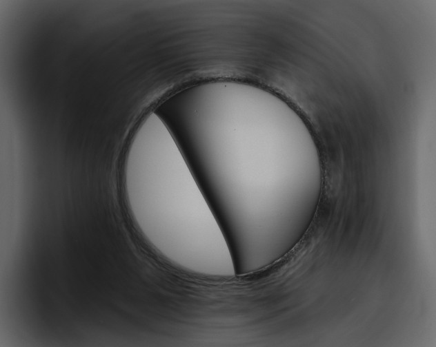 X0000097490111200802220848
