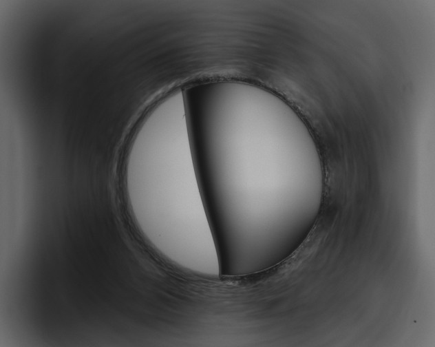 X0000097490112200802220848