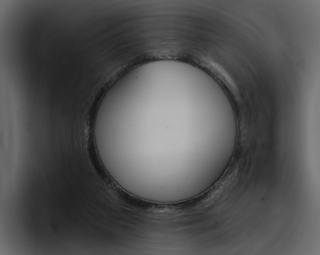X0000097490113200802220848