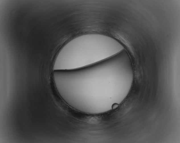X0000097490115200802220848