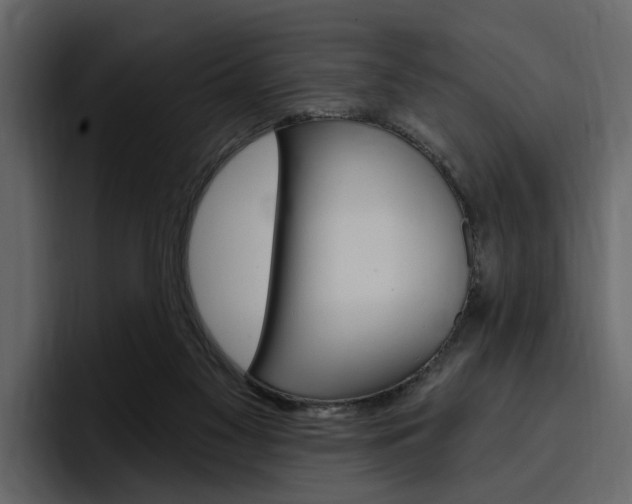 X0000097490117200802220848