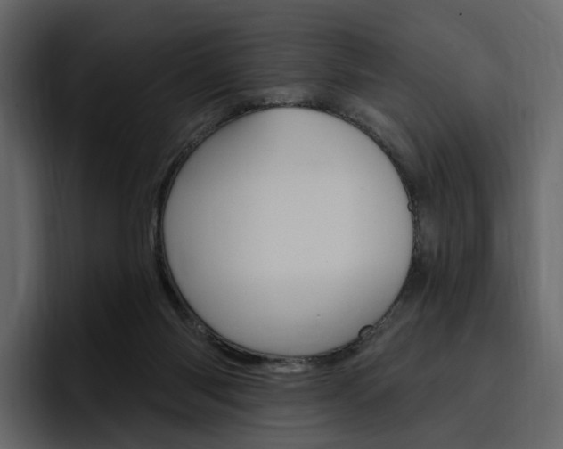 X0000097490118200802220848