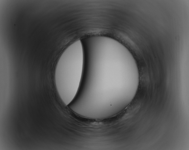 X0000097490119200802220848