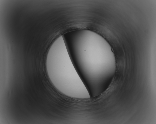 X0000097490120200802220848