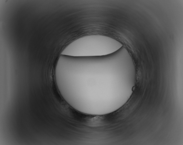 X0000097490122200802220848