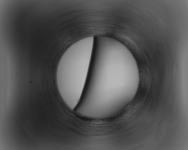 X0000097490123200802220848
