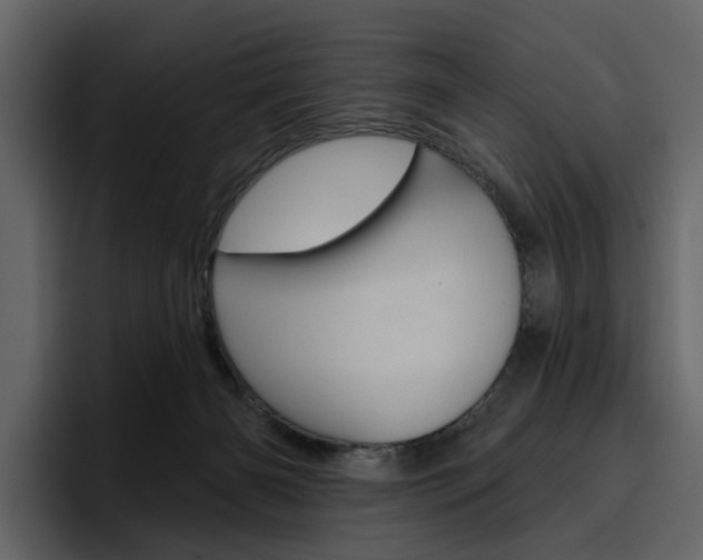 X0000097490126200802220848