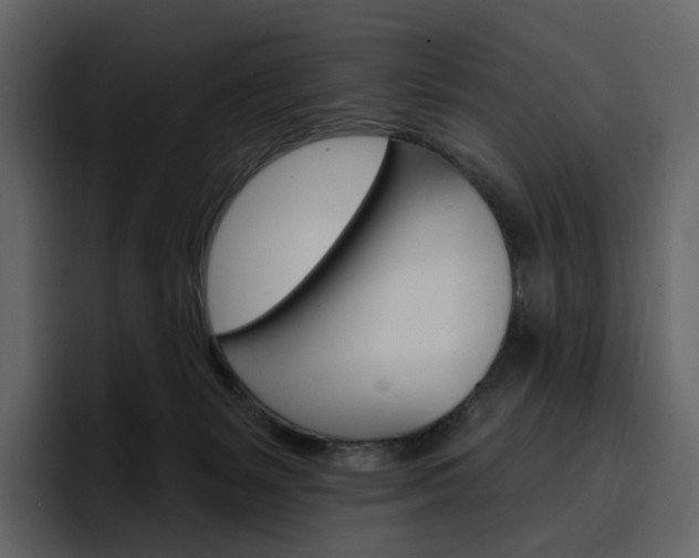 X0000097490127200802220848