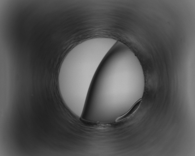 X0000097490128200802220848