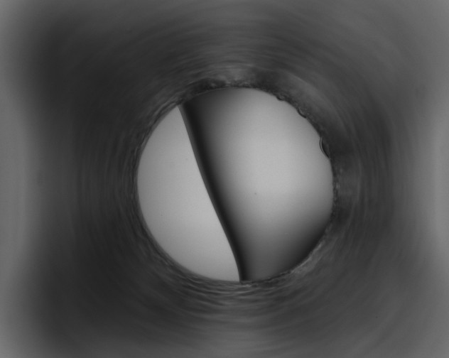 X0000097490132200802220848