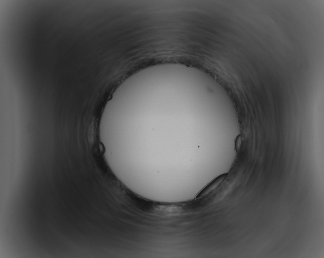 X0000097490133200802220848