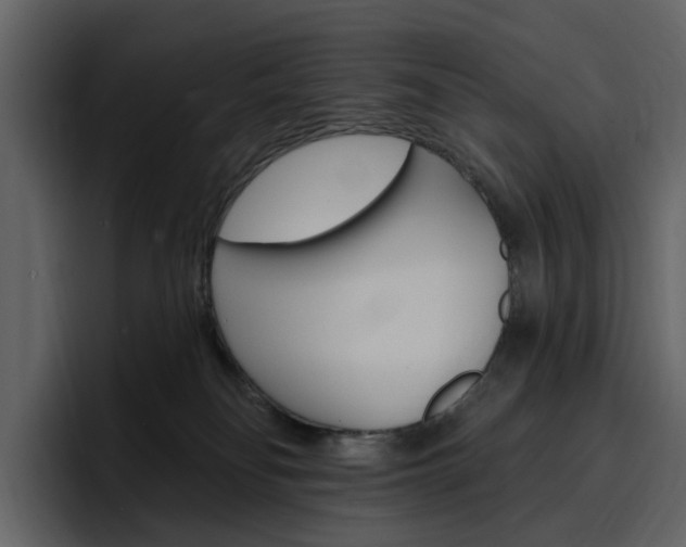 X0000097490134200802220848