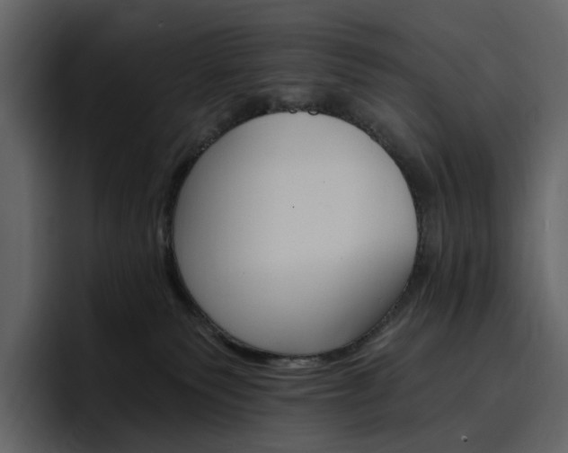 X0000097490135200802220848