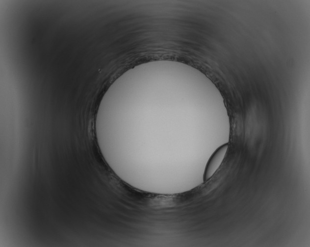 X0000097490138200802220848