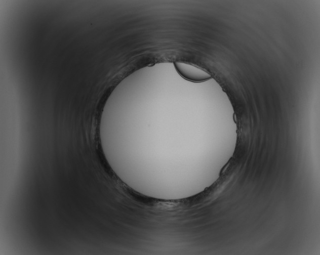 X0000097490139200802220848
