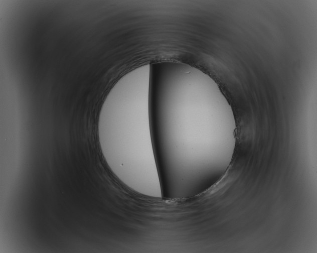 X0000097490140200802220848