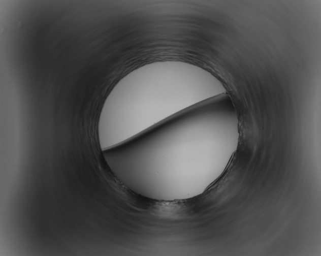 X0000097490141200802220848