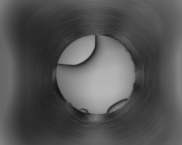 X0000097490142200802220848