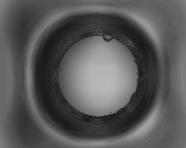 X0000097490143200802220848