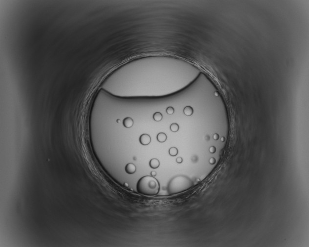 X0000097490145200802220847
