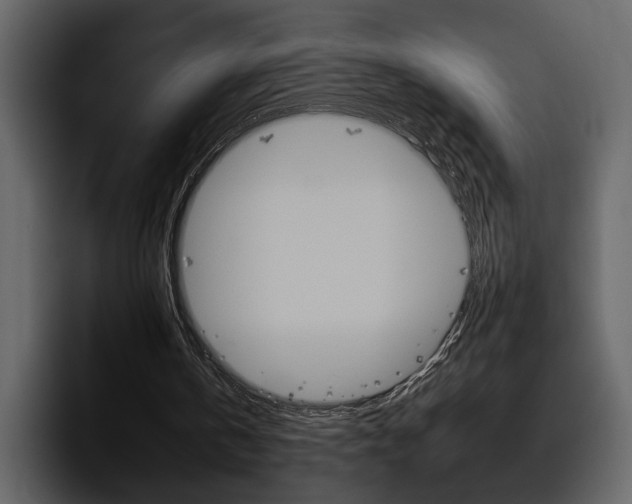 X0000097490146200802220847