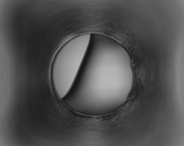 X0000097490148200802220847