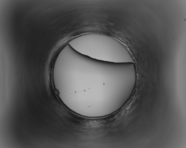 X0000097490149200802220847