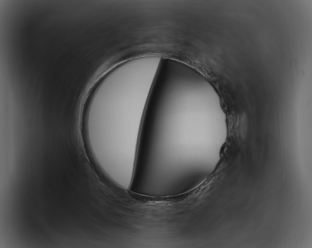 X0000097490150200802220847