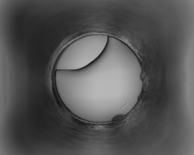 X0000097490151200802220847